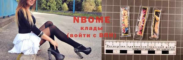 хмурый Алзамай