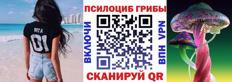 Псилоцибиновые грибы мицелий  Котельнич 
